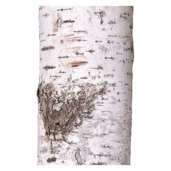 Artificial Silver Birch Tree