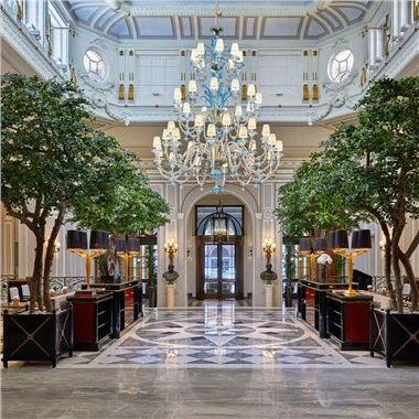 oliveres negres artificials per a sala