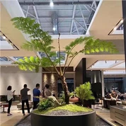 Cyathea Cooperi artificial